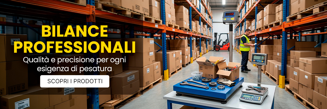 Bilance Professionali